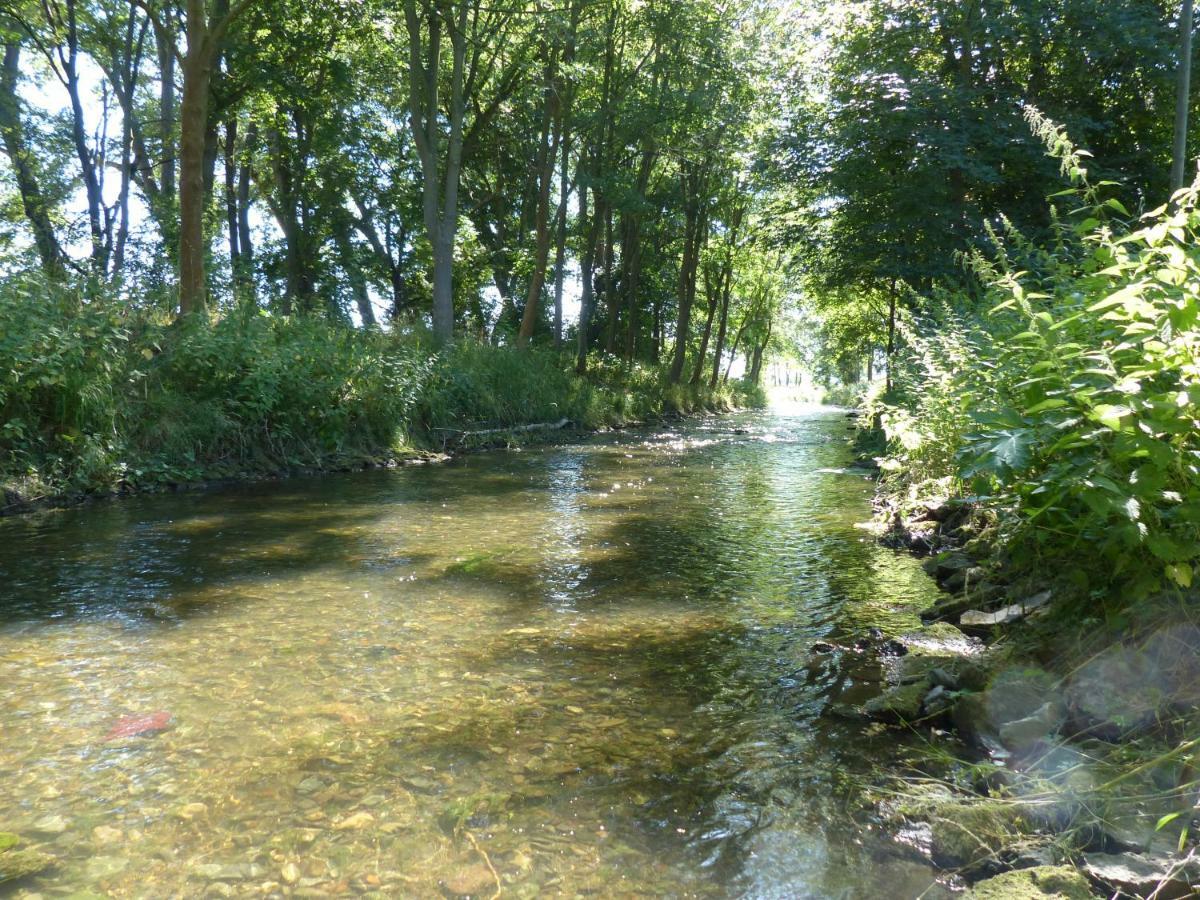 Ferienwohnung Mit Brockenblick Langenstein Dış mekan fotoğraf