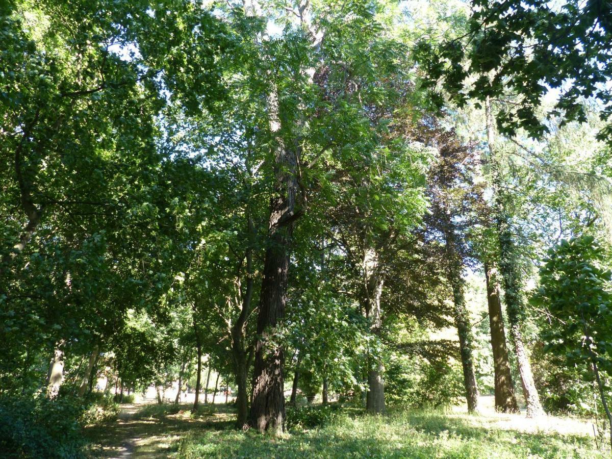 Ferienwohnung Mit Brockenblick Langenstein Dış mekan fotoğraf