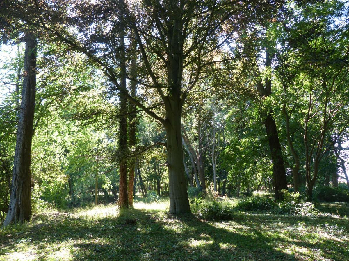 Ferienwohnung Mit Brockenblick Langenstein Dış mekan fotoğraf