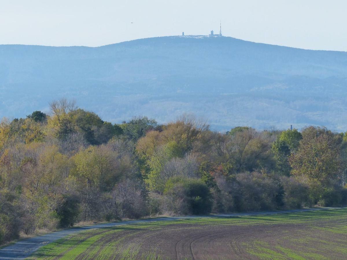 Ferienwohnung Mit Brockenblick Langenstein Dış mekan fotoğraf
